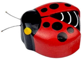 2Kids Toys Dřevěná magnetka velká Beruška