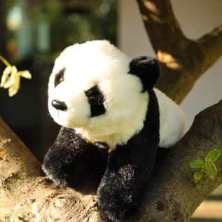Plyšová panda 23 cm ECO-FRIENDLY SOFT