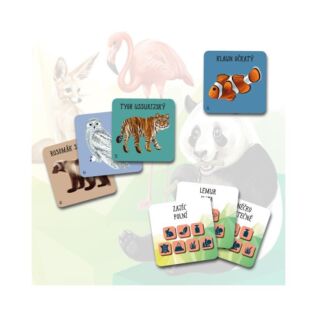 Chytré kostky - Zvířata