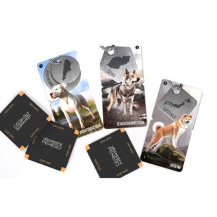 Vědomostní pexeso - Svět psů