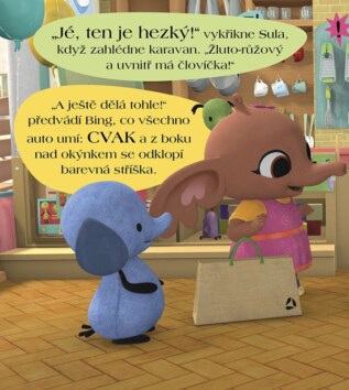 Ukázka