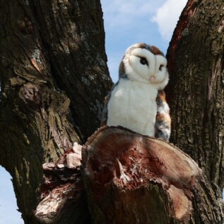 Plyšový pták sova pálená 27 cm ECO-FRIENDLY