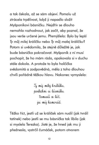 Ukázka