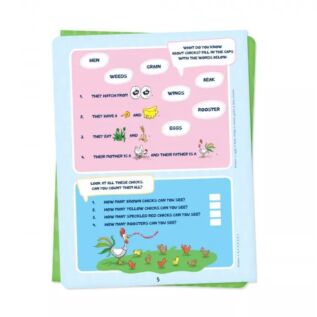 Kvído - Sešit aktivit - Angličtina