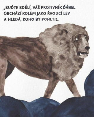 Ukázka