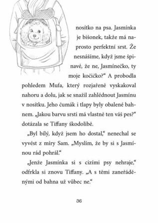 Ukázka