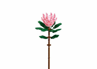 Sluban Flowers M38-B1101-03 Protea velká ve váze