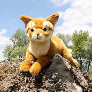 Plyšová kočka habešská 34 cm ECO-FRIENDLY