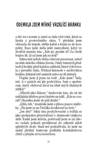 Ukázka