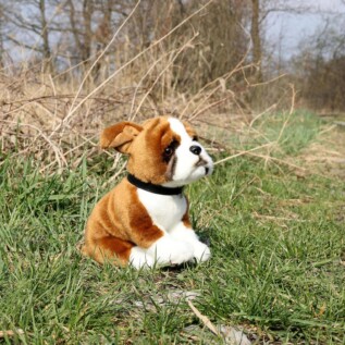 Plyšový pes boxer s obojkem 27 cm ECO-FRIENDLY