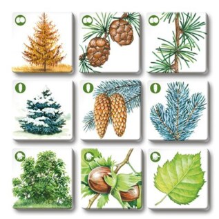 efko Pexetrio Stromy – dětské vzdělávací hry