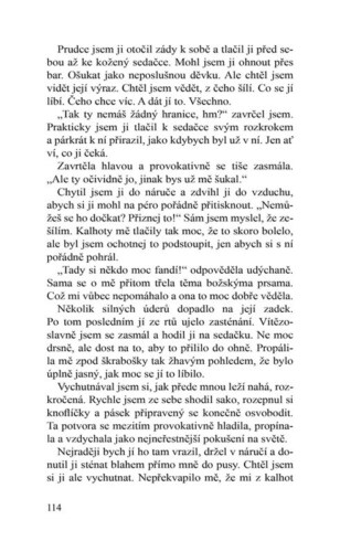 Ukázka