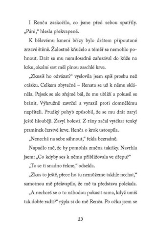 Ukázka