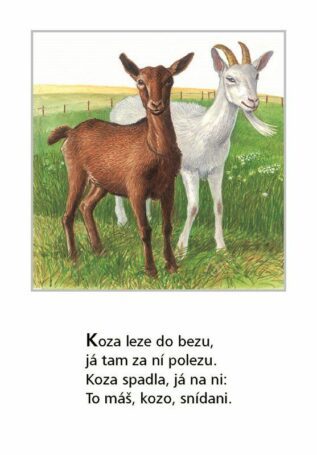 Ukázka