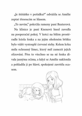 Ukázka