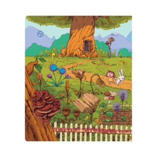 Albi Kniha Dianka ve světě kouzel Kouzelné čtení