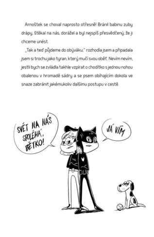Ukázka