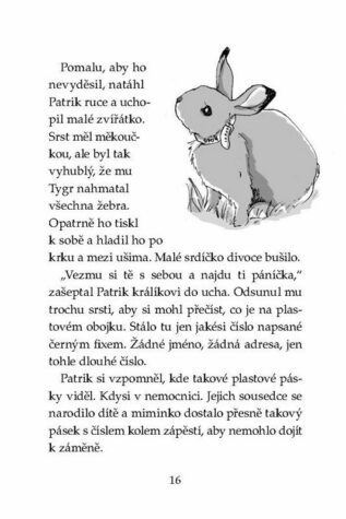 Ukázka