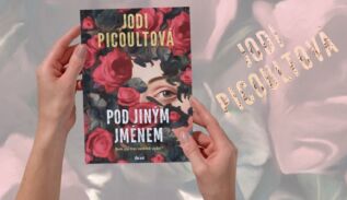 Pod jiným jménem - Jodi Picoultová