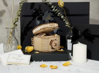 RoboTime 3D dřevěná mechanická skládačka Šperkovnice