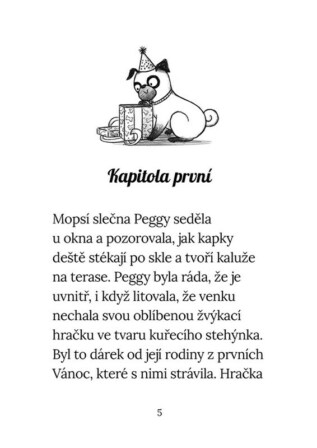 Ukázka