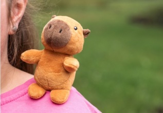 Gifty - shoulder friends 12 ks