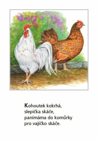 Ukázka