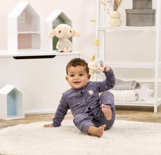 Rainbow Harry Potter Plyšové chrastítko Dobby