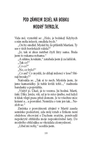 Ukázka