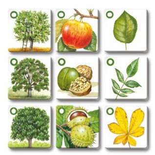 efko Pexetrio Stromy – dětské vzdělávací hry