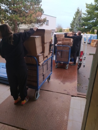 Předvánoční cvrkot