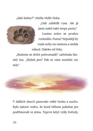 Ukázka