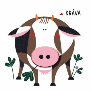 Ukázka