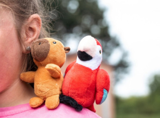 Gifty - shoulder friends 12 ks