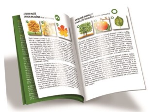 efko Pexetrio Stromy – dětské vzdělávací hry