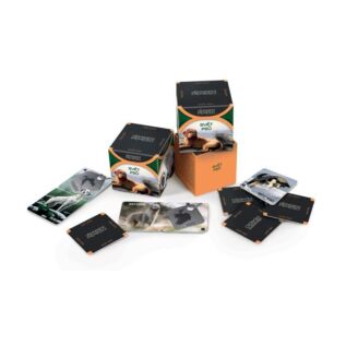 Vědomostní pexeso - Svět psů