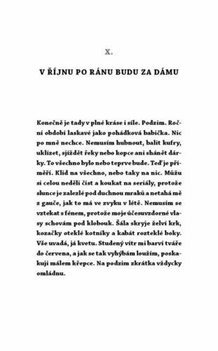 Ukázka