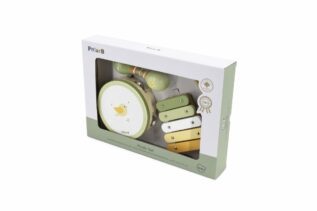 Dřevěné hudební nástroje-ptáček