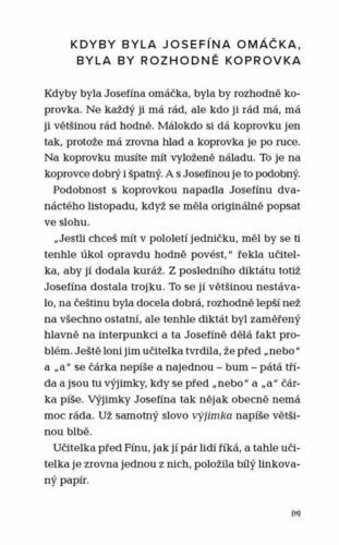 Ukázka