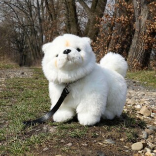 Plyšový pes čau-čau s vodítkem 30 cm ECO-FRIENDLY