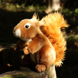 Plyšová veverka 20 cm ECO-FRIENDLY