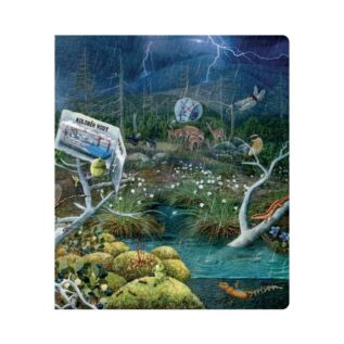 Albi Kniha Hravá přírodověda Kouzelné čtení