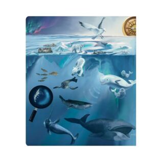 Albi kniha Tajemství moří a oceánů Kouzelné čtení