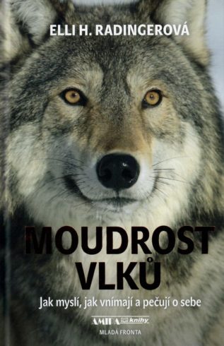 Moudrost vlků - Jak myslí, jak vnímají a pečují o sebe
