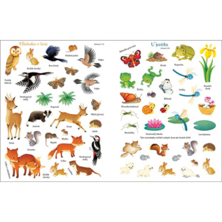 Knížka samolepková Příroda