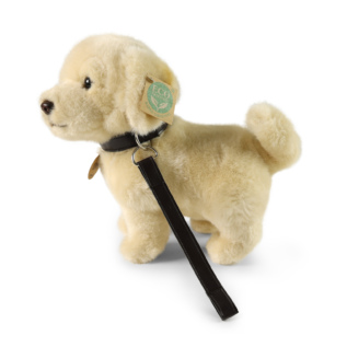 Plyšový pes zlatý retrívr s vodítkem 25 cm ECO-FRIENDLY