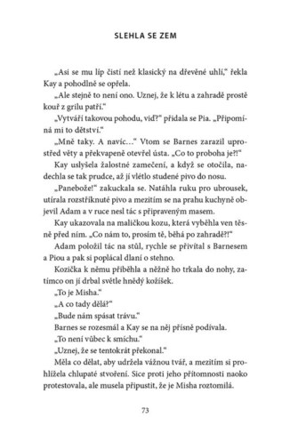 Ukázka