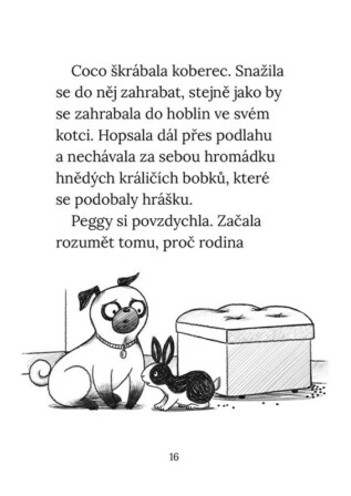 Ukázka