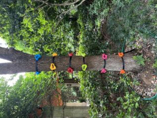 2Kids Toys Lezecké úchyty s popruhy na strom 12 ks