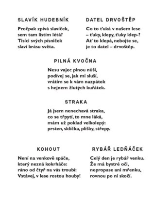 Ukázka